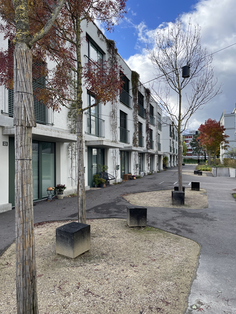 White apartment building, multiple floors, balconies, windows, street, trees, planter boxes