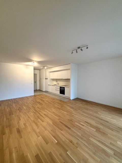 wooden floor, open concept, kitchen with dishwasher, washing machine