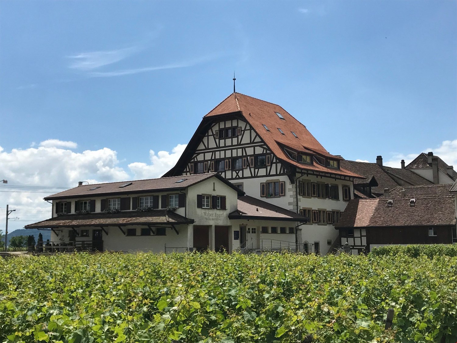 A traditional half-timbered building with a red tile roof, surrounded by a vineyard. The building has multiple floors and windows, and appears to be a restaurant or hotel called 'Willer Engel'.