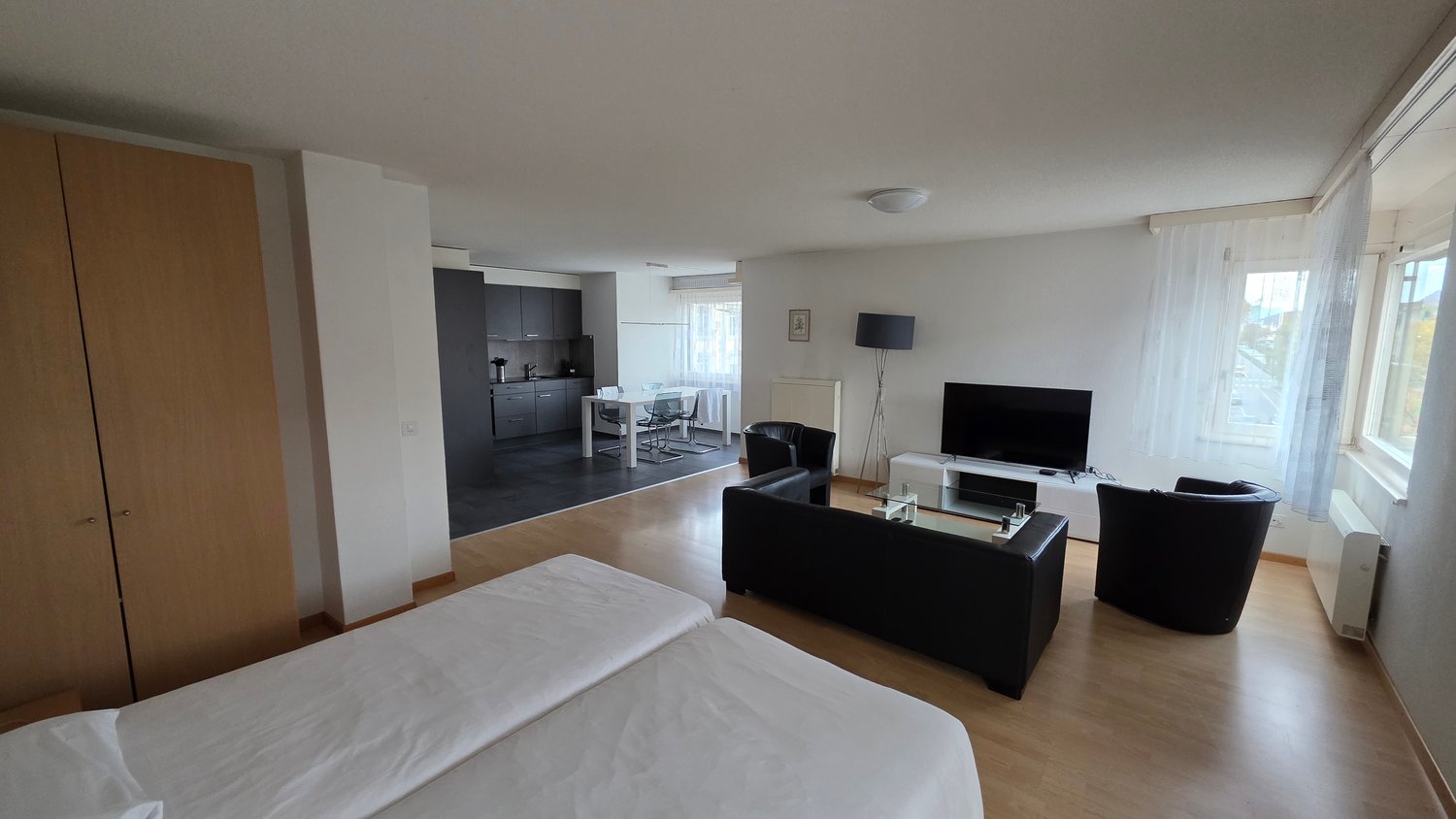 Modern interior, living room, dining area, TV, sofa, chairs, table, kitchen, bedroom