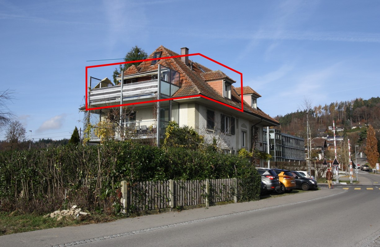 Large house, tiled roof, visible terrace, chimney, large garden, several parked cars