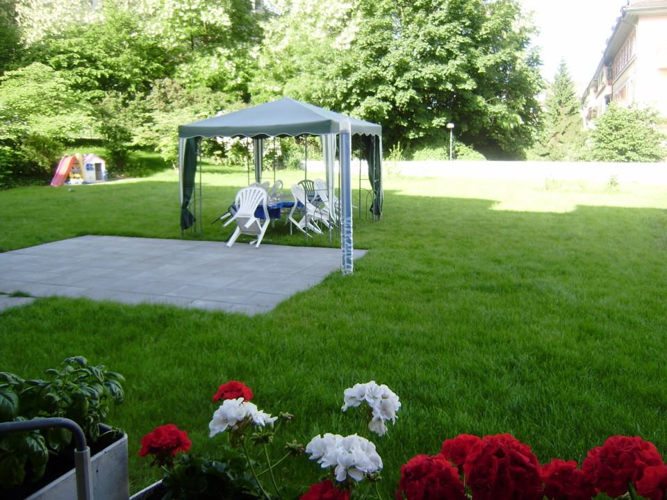 An outdoor area with a grassy field, a canopy, a patio, a table, and chairs. There are also plants and flowers in the area.