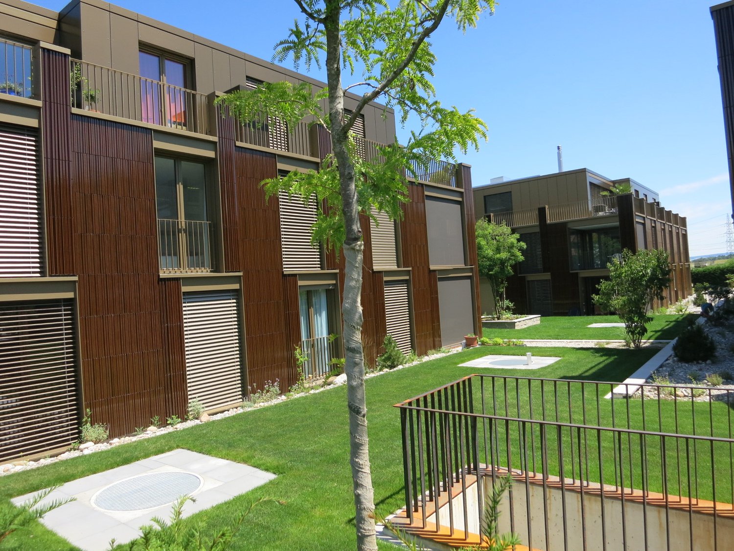 Apartment complex with modern architectural design, brown wooden facades, multiple balconies, common grassy area, central tree, paved pathway, surrounding greenery