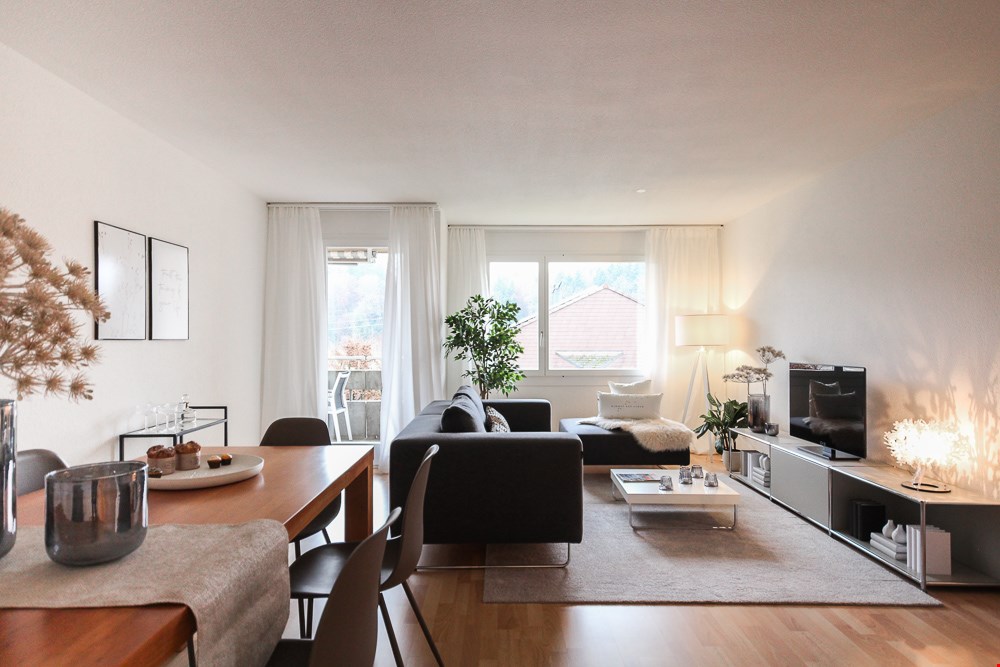 modern interior, dining table with chairs, sofa, coffee table, floor lamp, TV, decorative plants, large windows