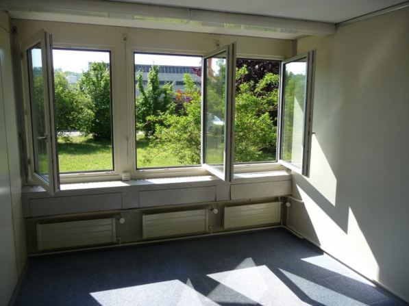 empty room, large windows, white walls, blue carpet, white radiators, view of trees and grass