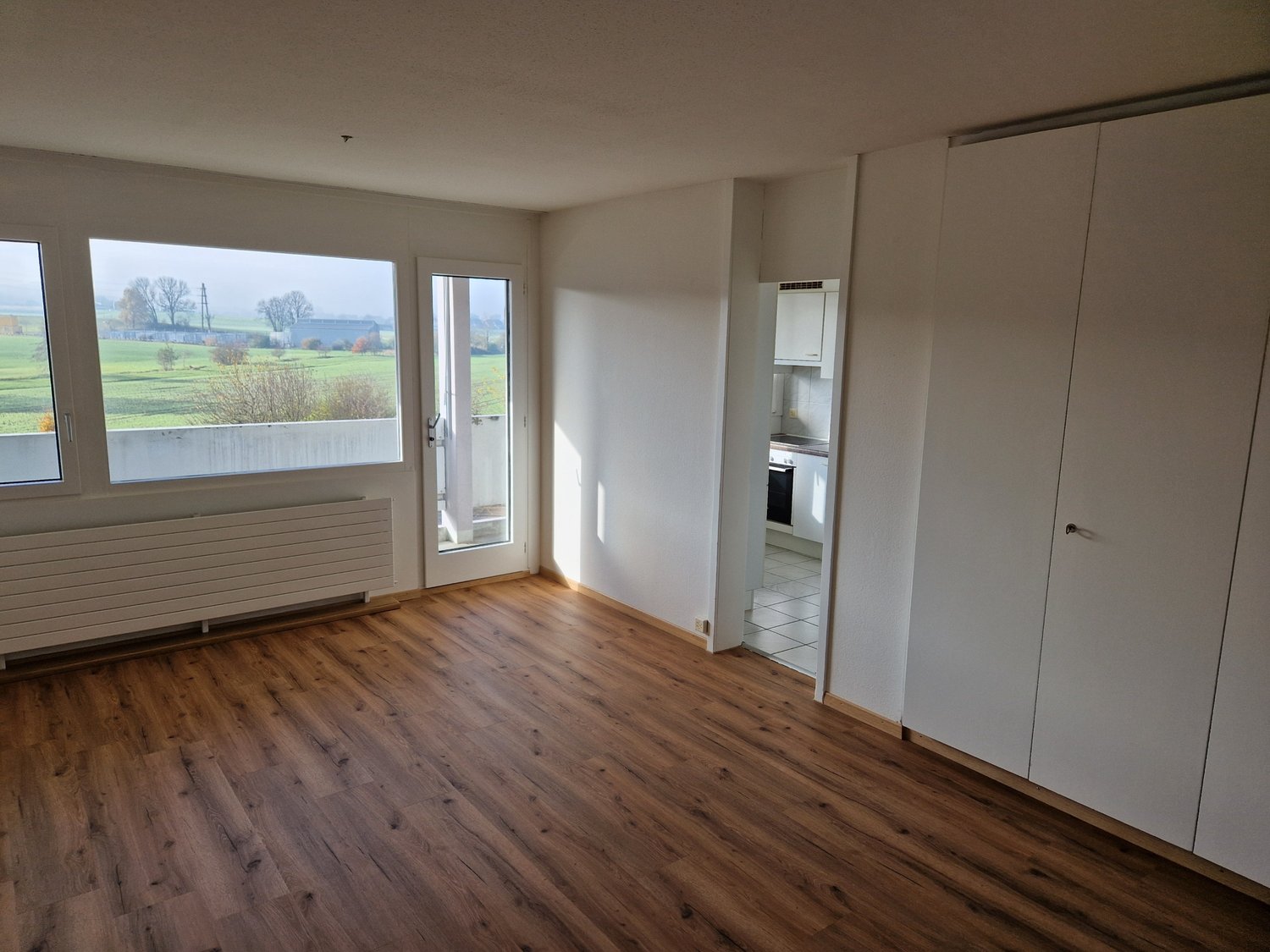 Empty room with wooden floor, white walls, large windows, glass door to balcony, large white cabinets.