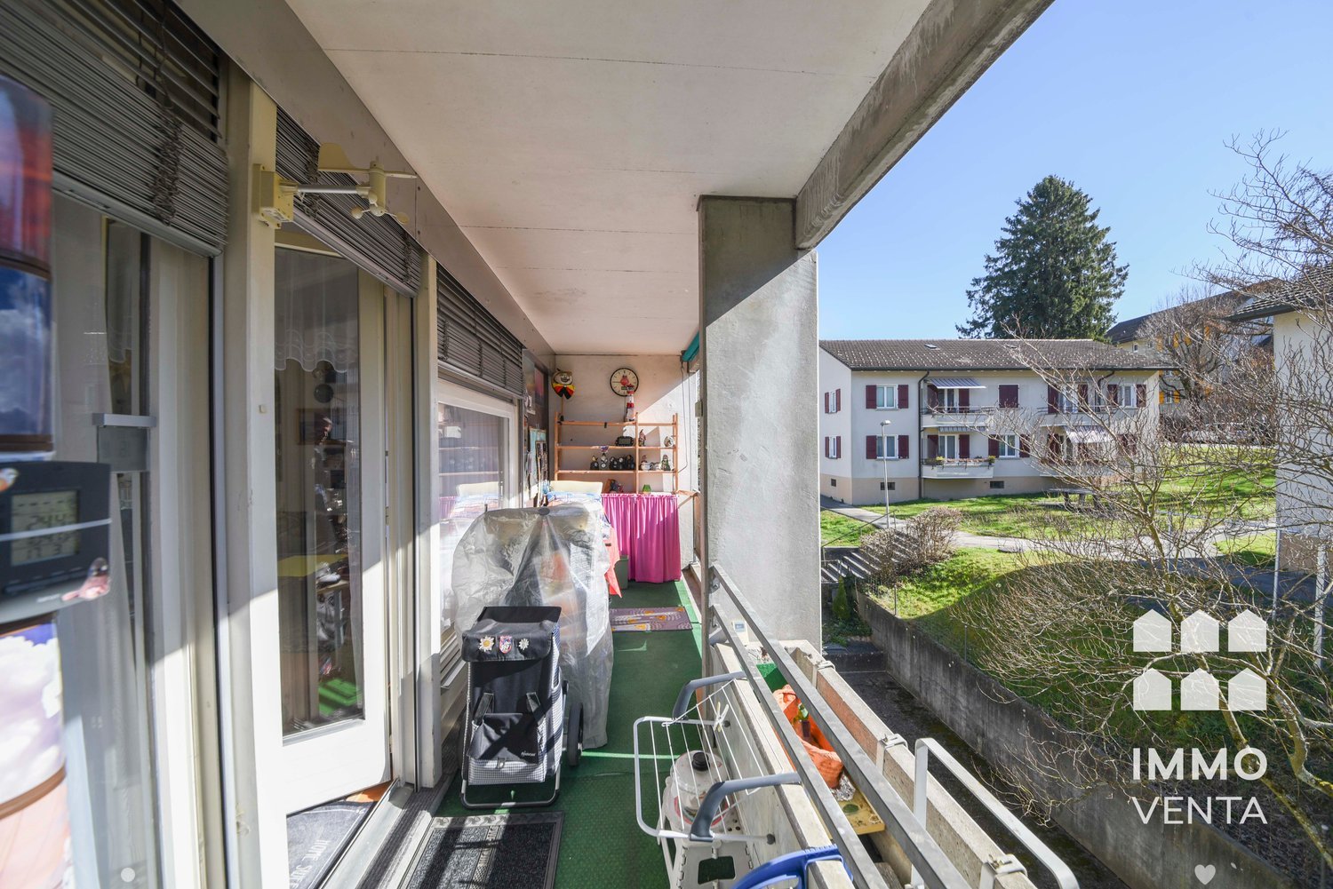 Balcony with green carpet, storage boxes, trolley, and a shelf with items