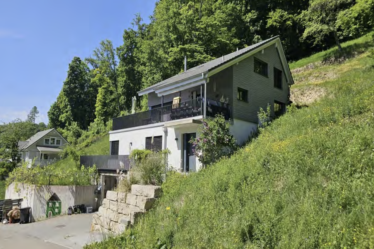 Detached house, hillside, terrace with railings, driveway