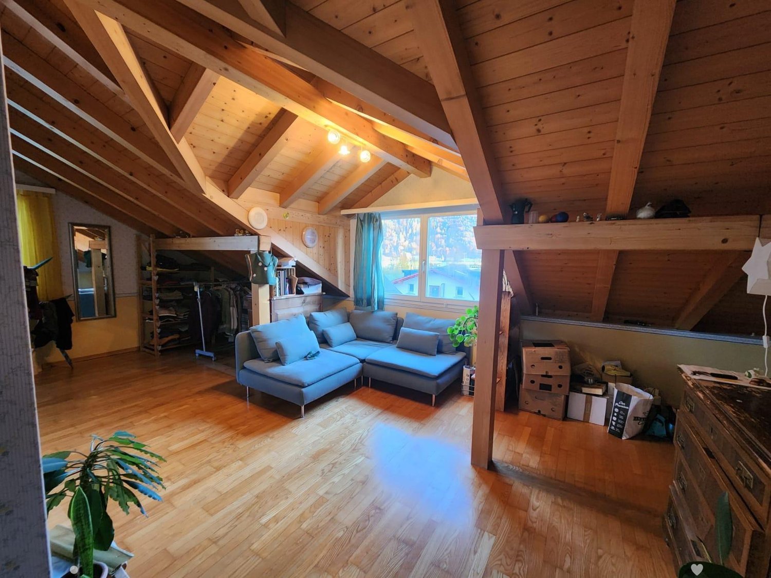 A cozy attic room with wooden flooring, wooden beams, a couch with pillows, a mirror, a shelf with clothing, a potted plant, and storage boxes.