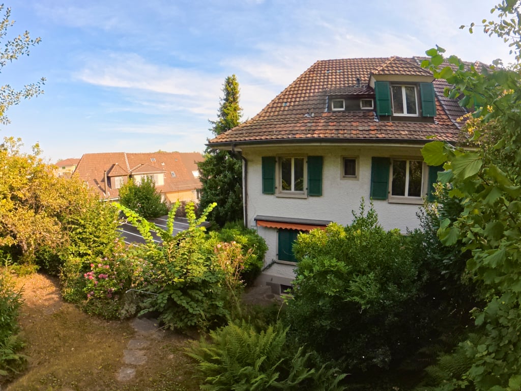 White house with green shutters, brown tiled roof, garden with plants and flowers, pathway leading to the house, trees in the background