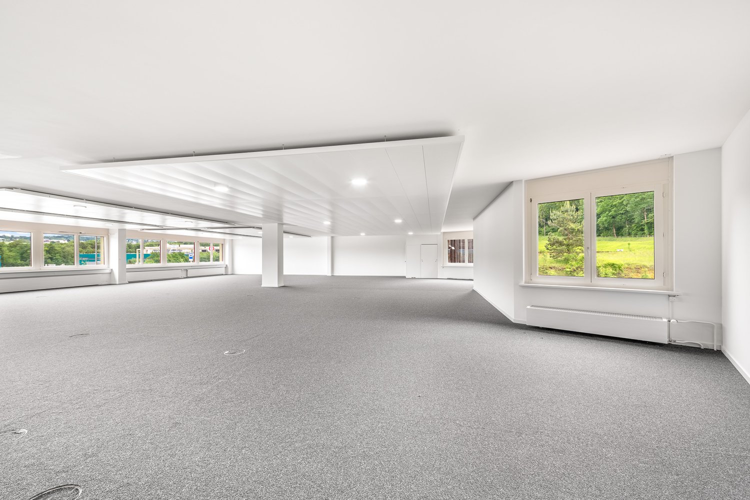 Large open space with gray carpet, white walls, ceiling lights, multiple windows, and a radiator.