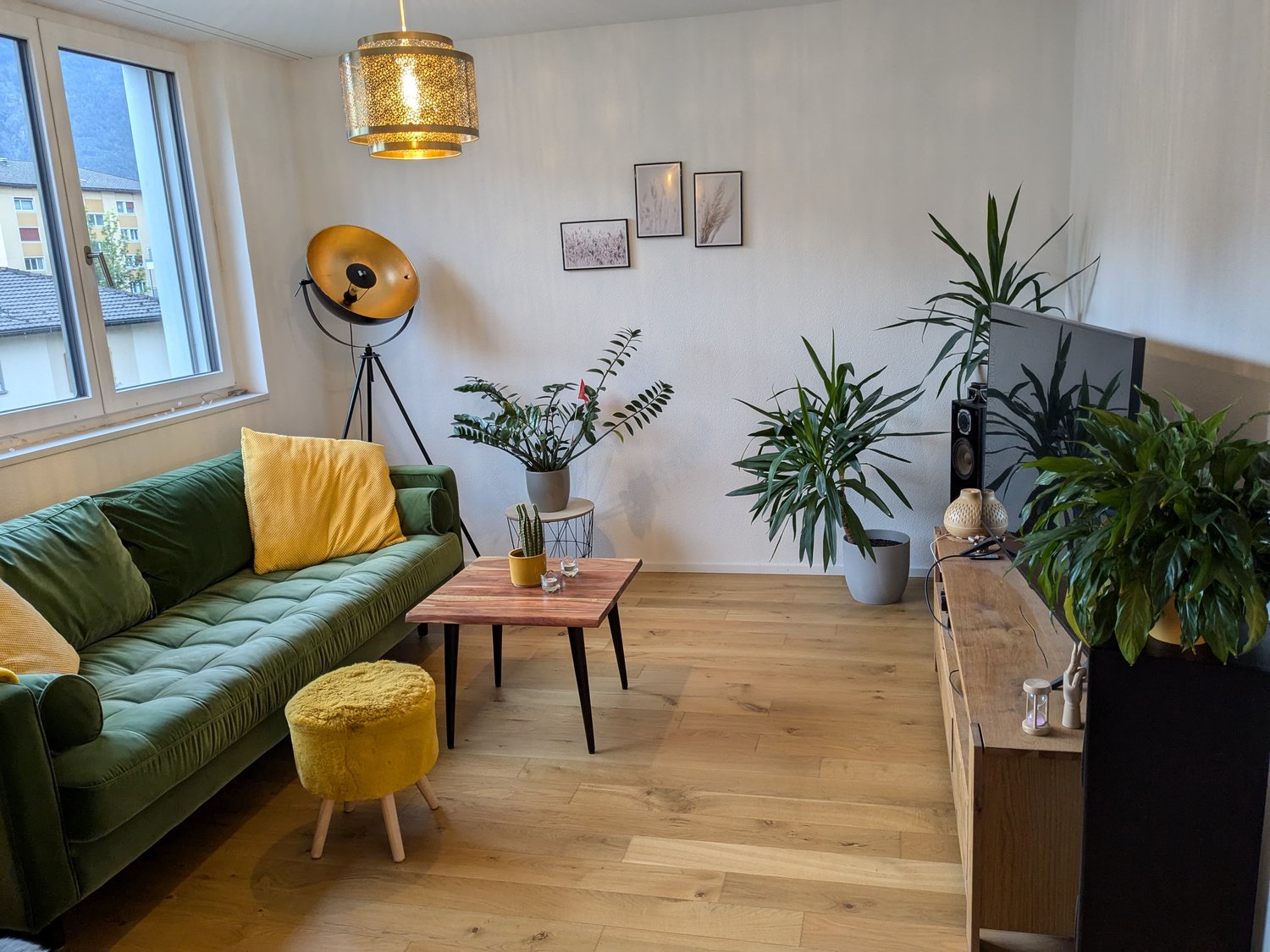 large green couch, wooden coffee table, yellow cushions, potted plants, television, wooden floor