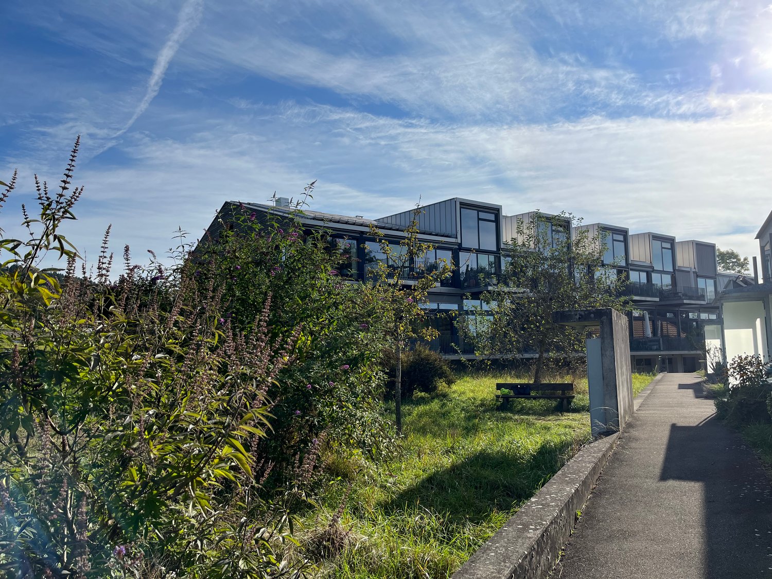 Modern house, multiple windows, balconies, surrounded by greenery, concrete pathway, trees, large bushes, pathway