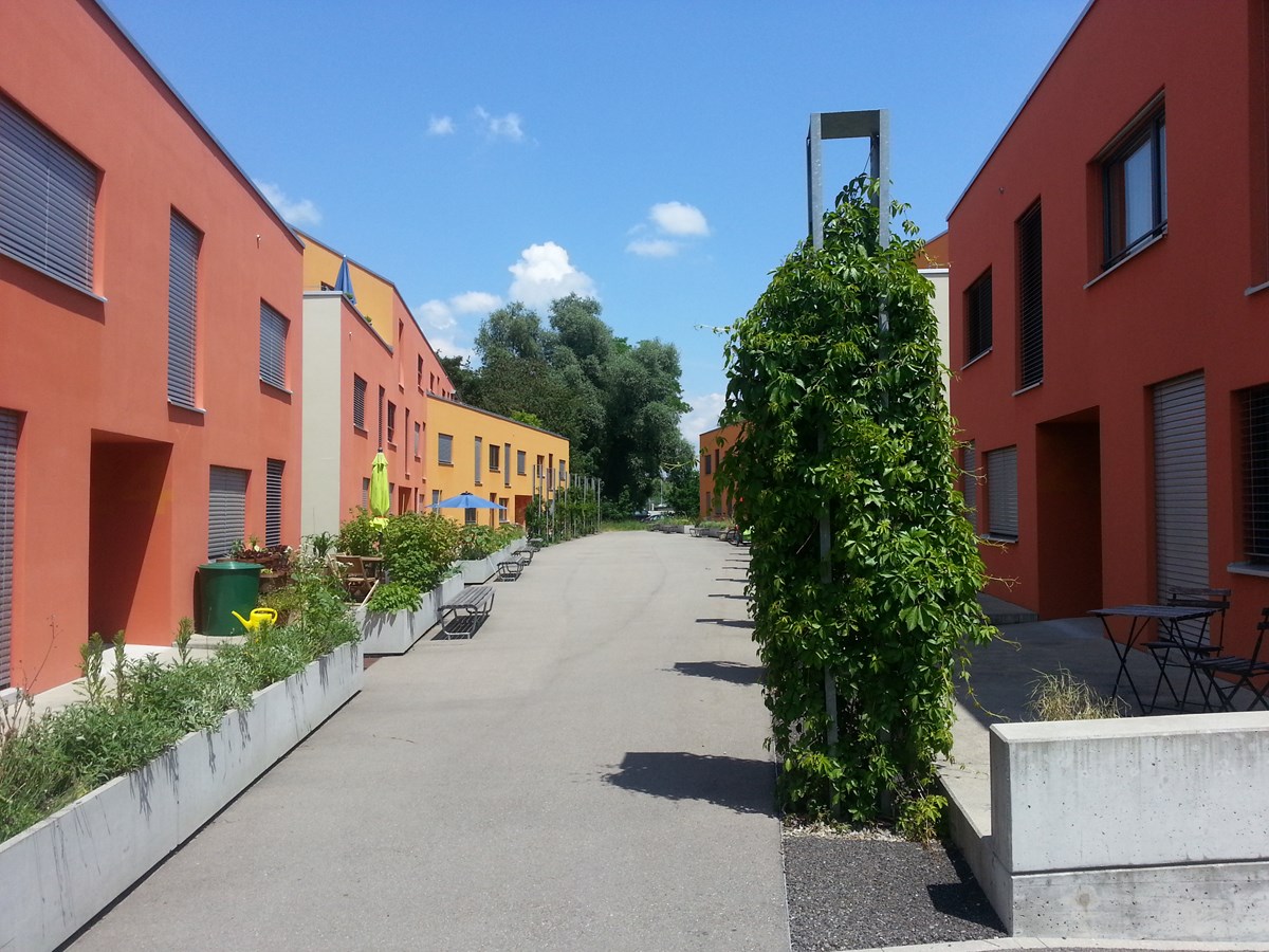 A row of apartment buildings with balconies and a concrete walkway in between. Plants are on the sides of the pathway.