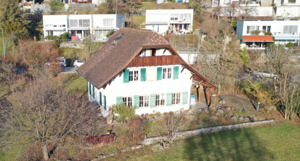 White house with brown roof, green shutters, surrounded by trees, elevated on the slope, garden