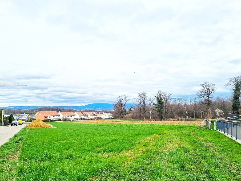 Green lawn, residential buildings in the background, mountains in the distance, cloudy sky