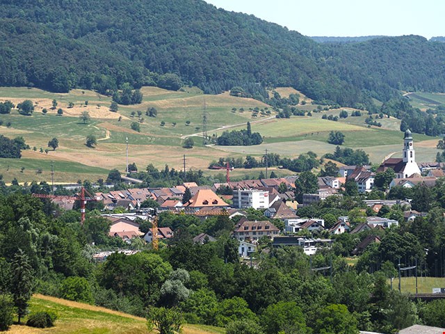 aerial view of town with red-roofed houses, mountains, green fields, and trees