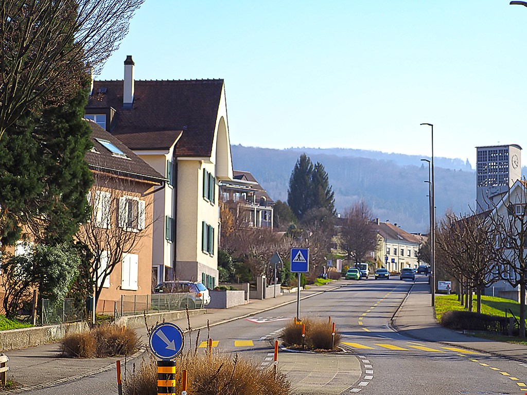 Houses, road, street lights, mountains in the background