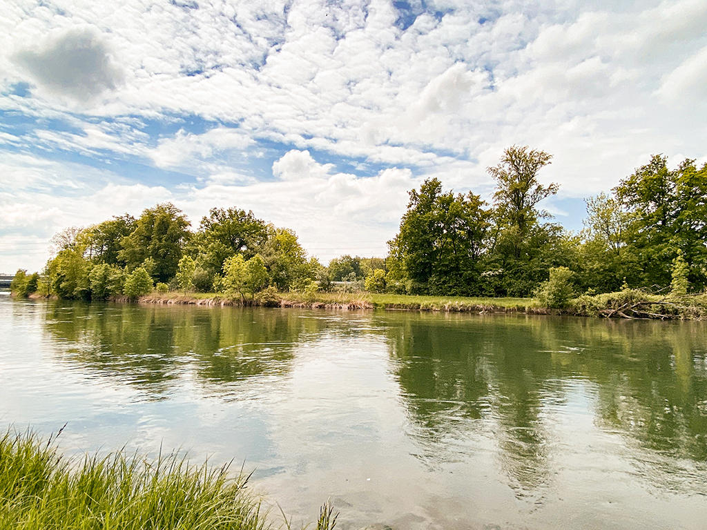 a beautiful view of the river with trees and grass