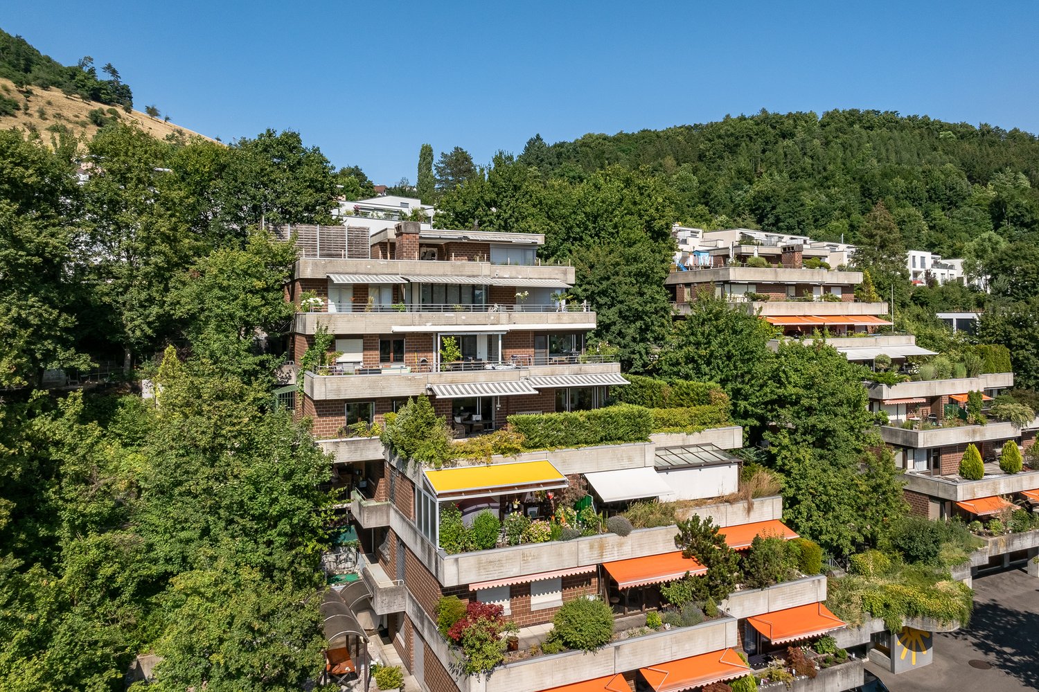 Multi-story apartment building with balconies, surrounded by lush greenery and trees