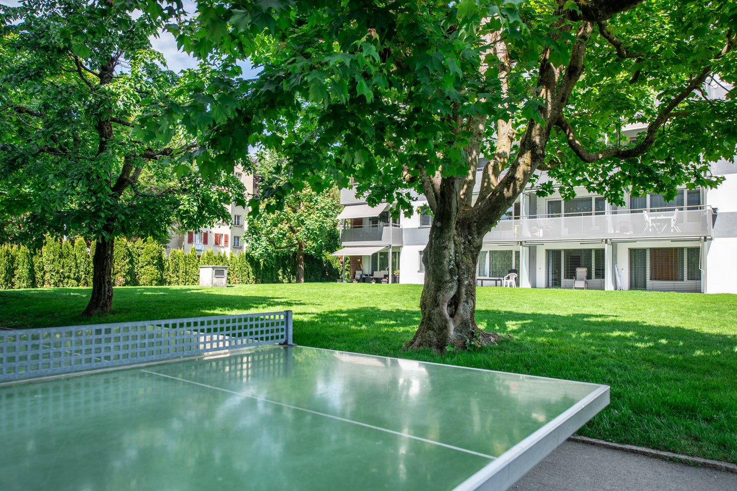 large lawn with a table tennis, tree, building
