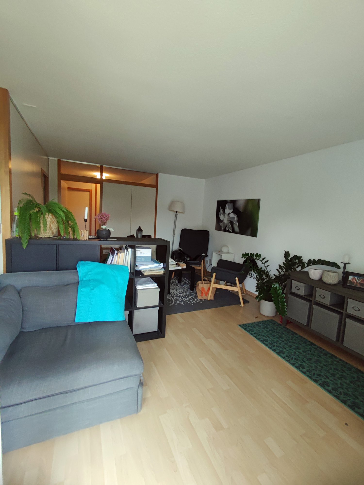Living room with couch, table, shelf, rug, two chairs, floor lamp, plants, painting, rug, and storage units.