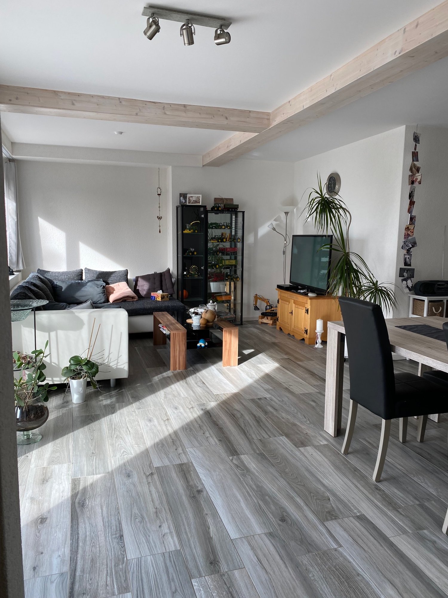 living room, white couch, white pillows, wooden coffee table, wooden TV stand, black dining table, black chairs, plants