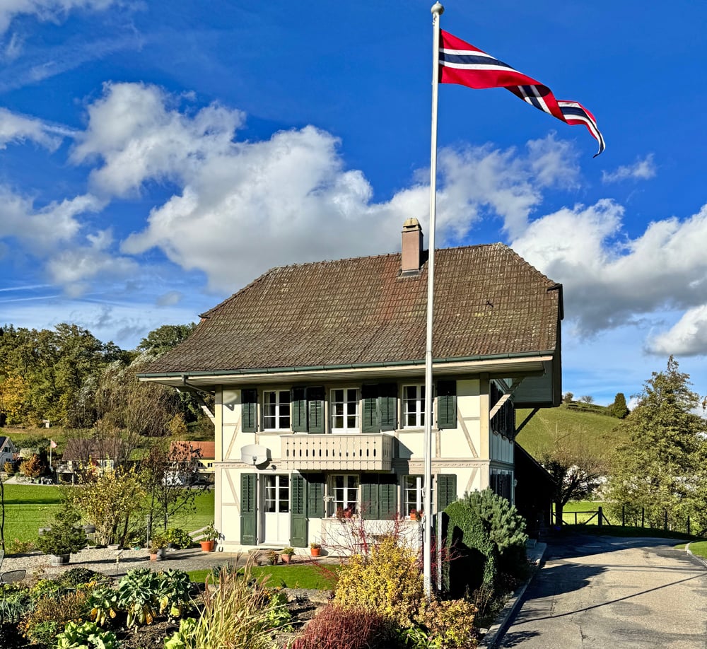 House with brown roof, white walls, green shutters, small front garden, flag