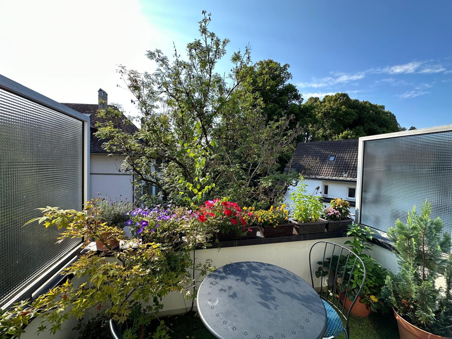 Round table, chair, small potted plants, fenced balcony, flowering plants