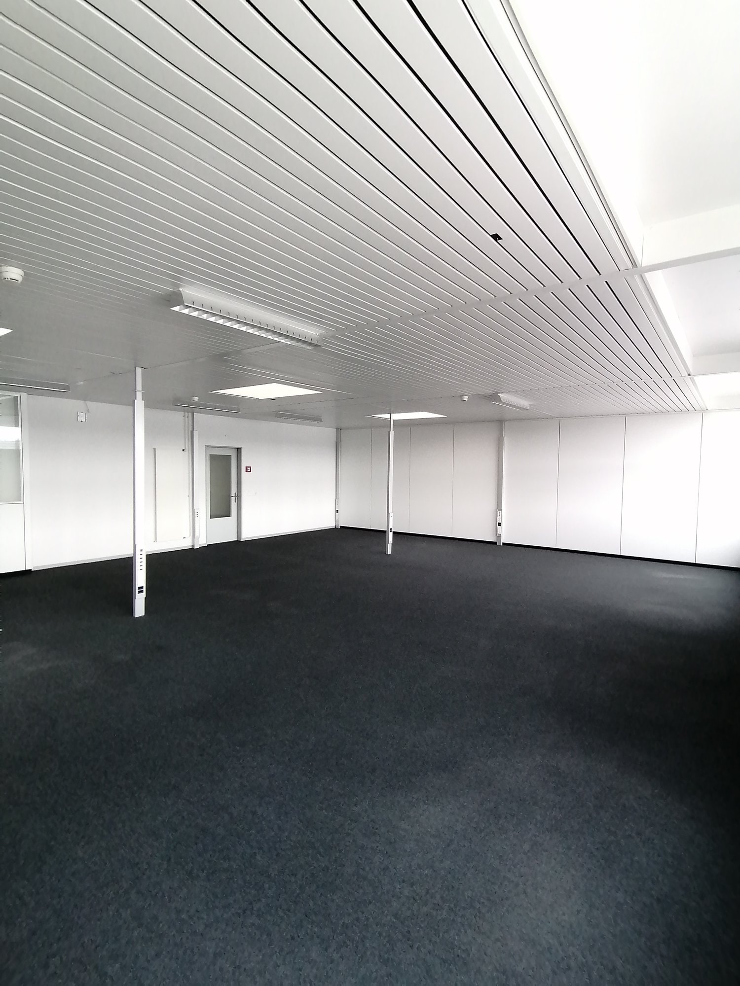 Large open office space with white walls, gray ceiling panels, and black carpeted floor. The room appears to be empty and ready for use.