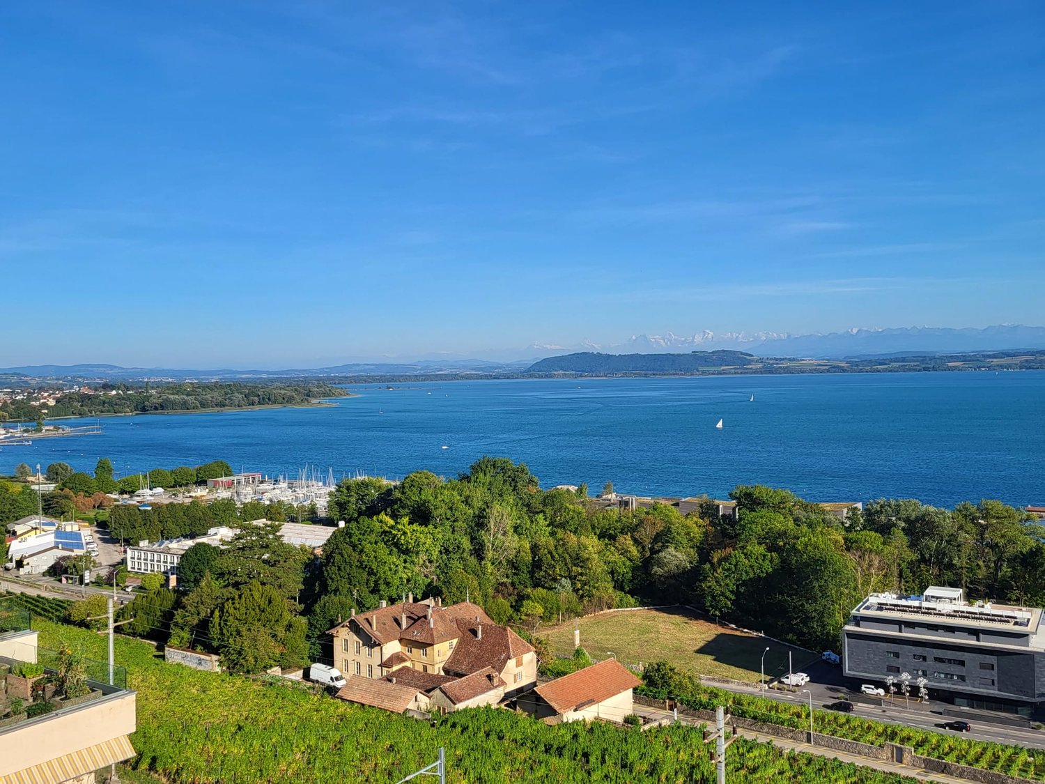 Aerial view of buildings, vineyard, ocean, mountains
