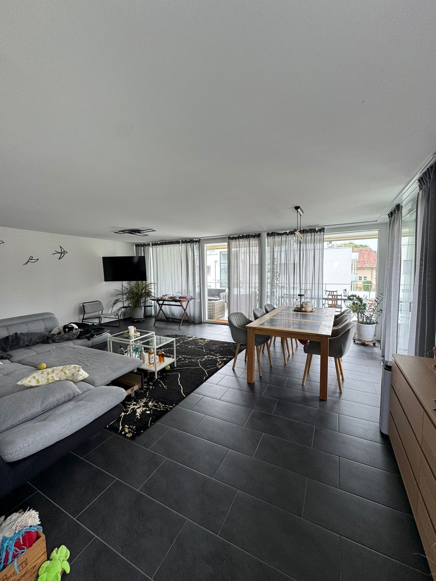 Modern living room with grey sofa, dining table, black rug, tiled floor, sliding glass doors to balcony, TV, ceiling fan, potted plants