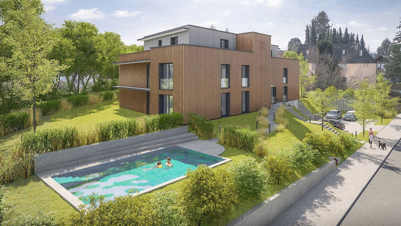 modern style, wooden and gray exterior, swimming pool, car parked