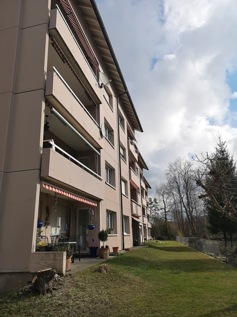 apartment building, multiple balconies, red and white awning, potted plants, green lawn, trees in the distance