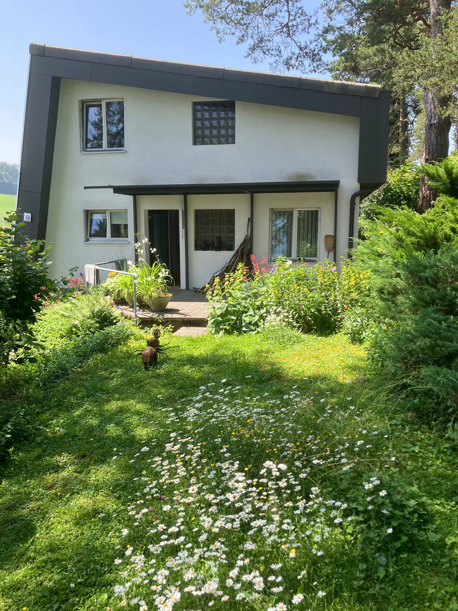 white house, flat roof, glass windows, covered entrance, garden with flowers, lawn, trees, bushes