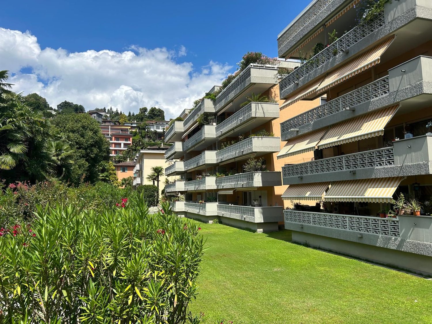 Multi-story apartment building, multiple balconies, lush greenery, green lawn, trees