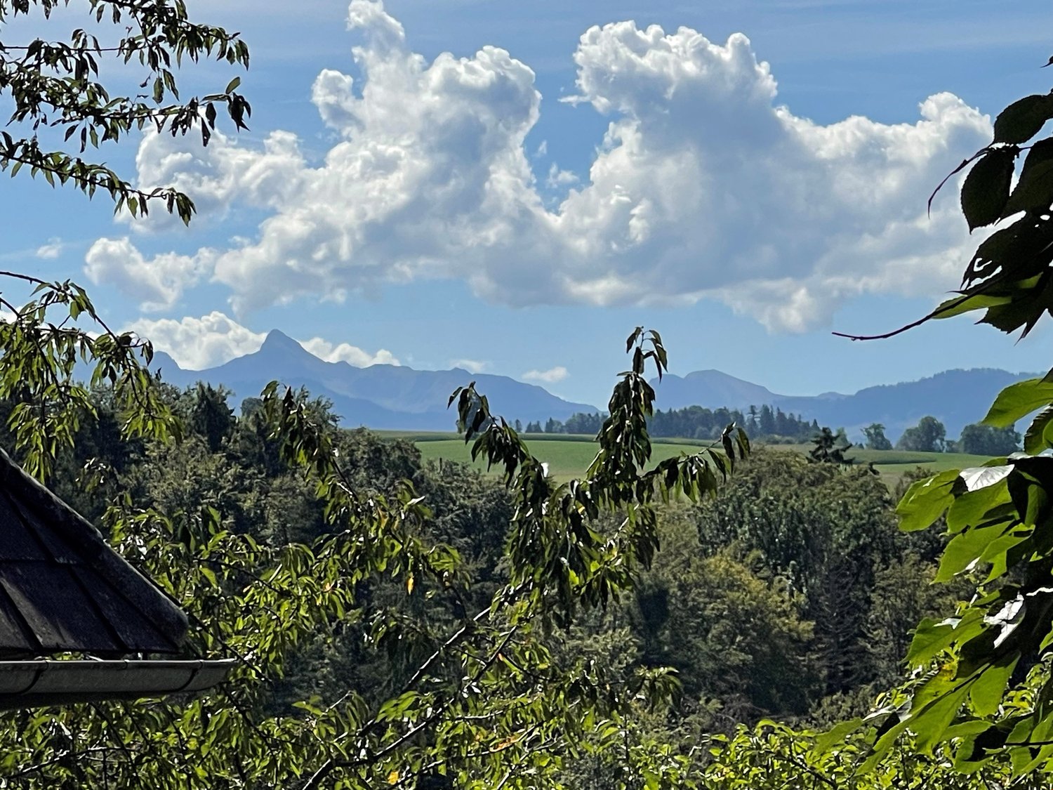 Aerial view of a lush forest, mountains in the distance, blue sky with clouds.