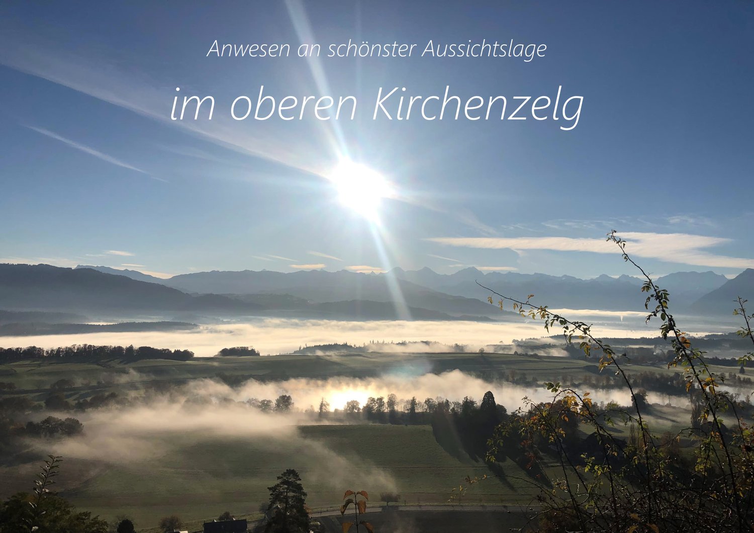 Valley, fog, hills, mountains, open fields, trees, clear sky, morning sun.