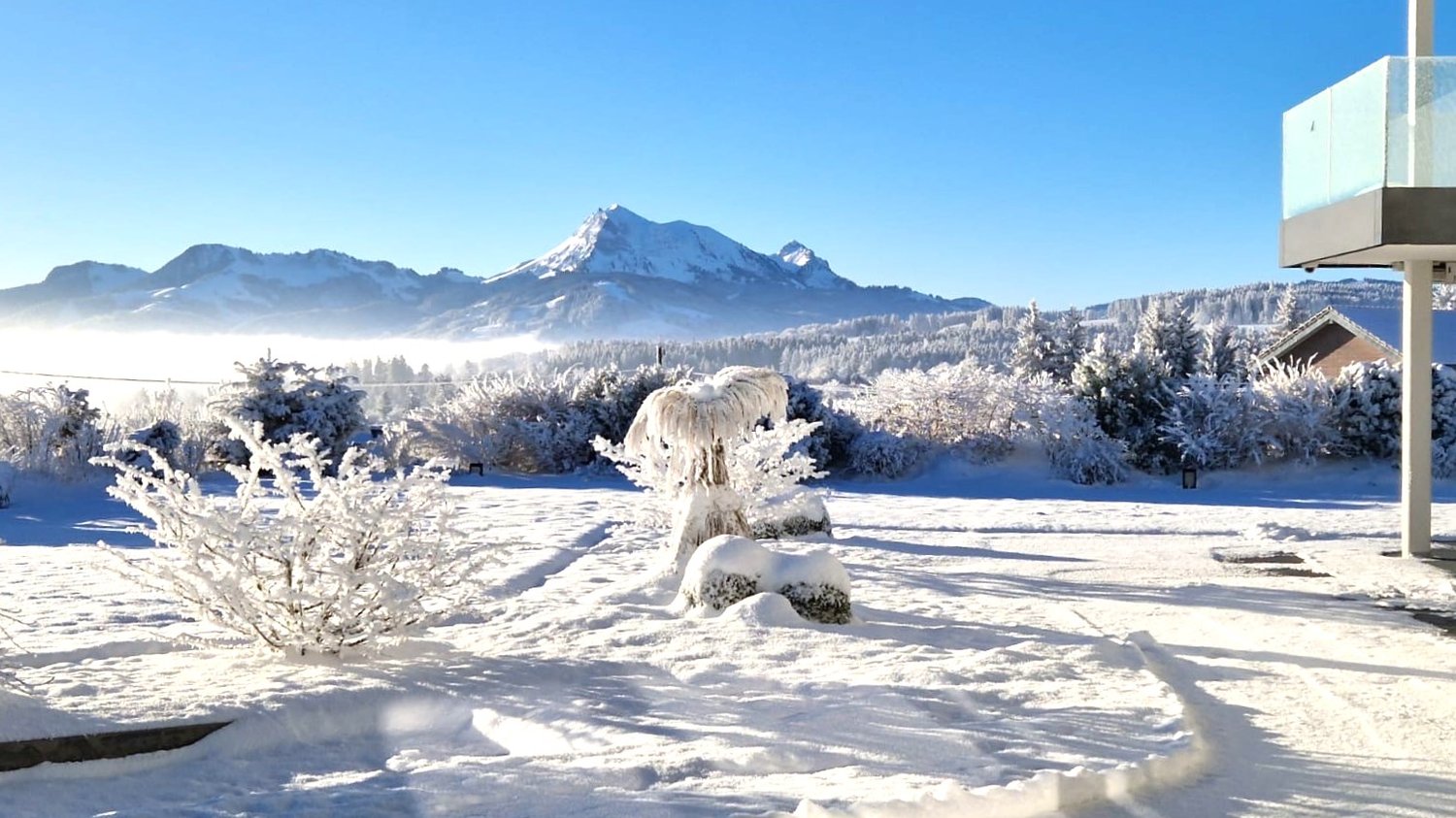 Snowy garden with bushes, path leading to mountain