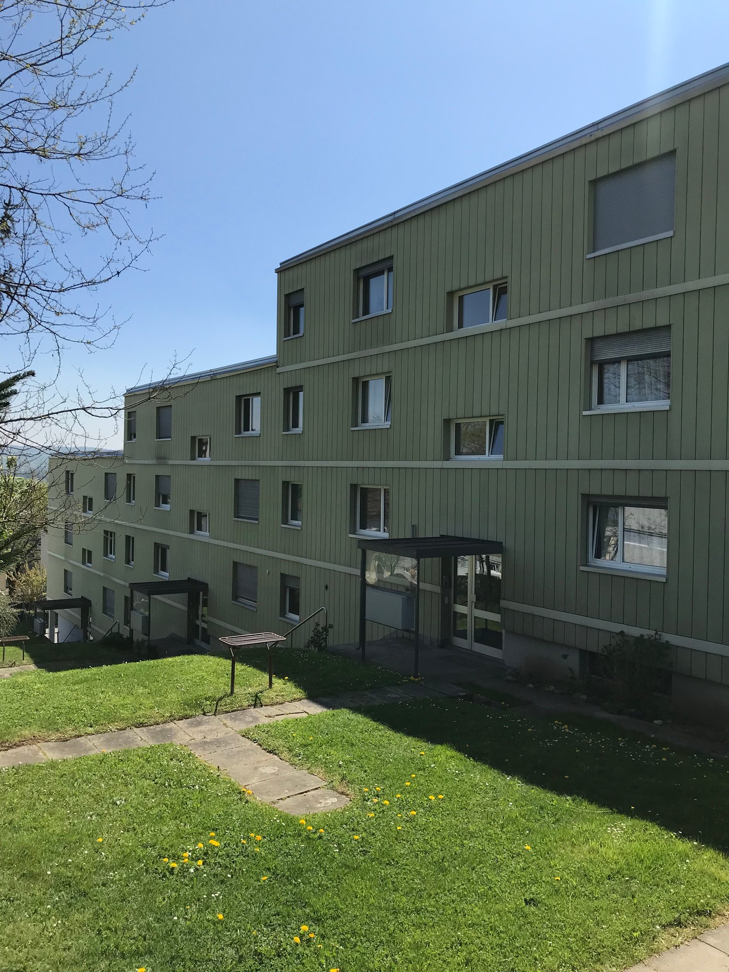 Apartment building with green facade, multiple windows, well-maintained lawn, pathways, and outdoor structures