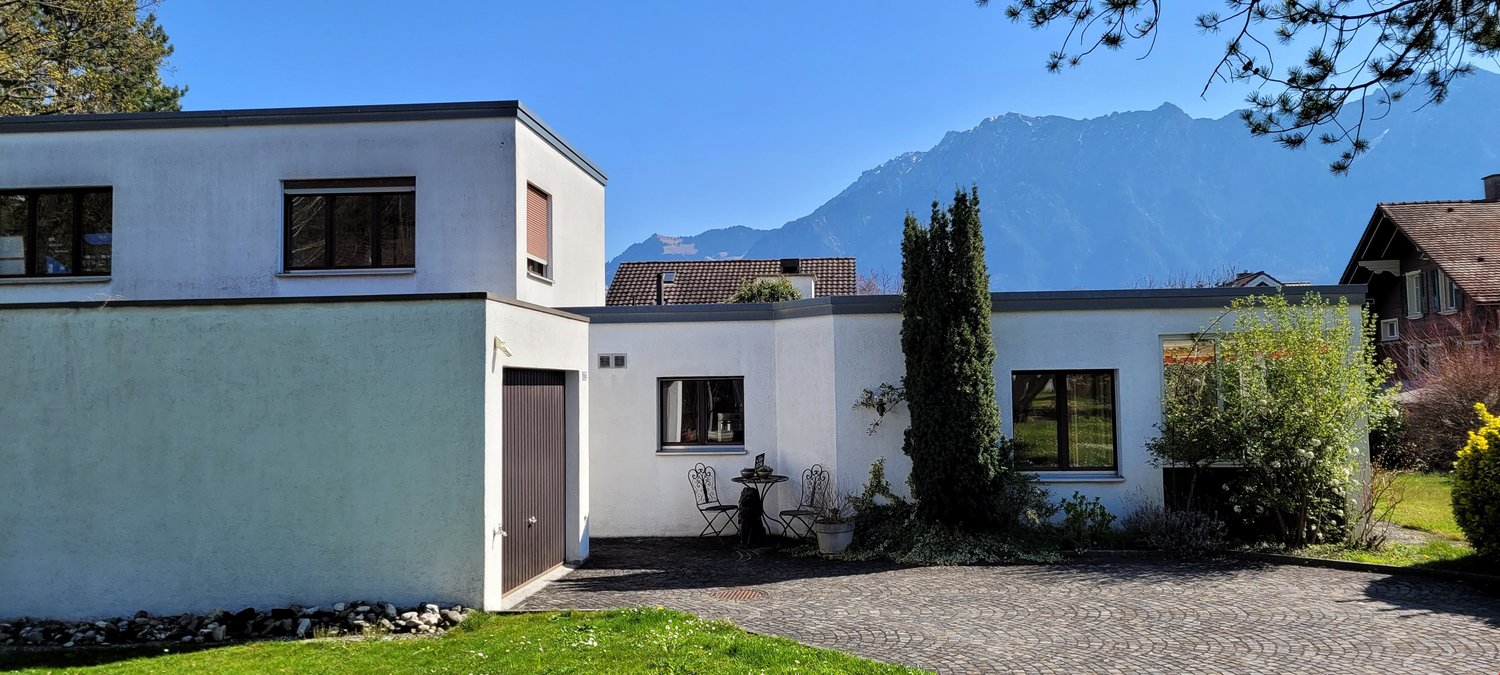 modern style house, white walls, brown roof, garage, large windows, surrounded by plants and trees, with a mountain view