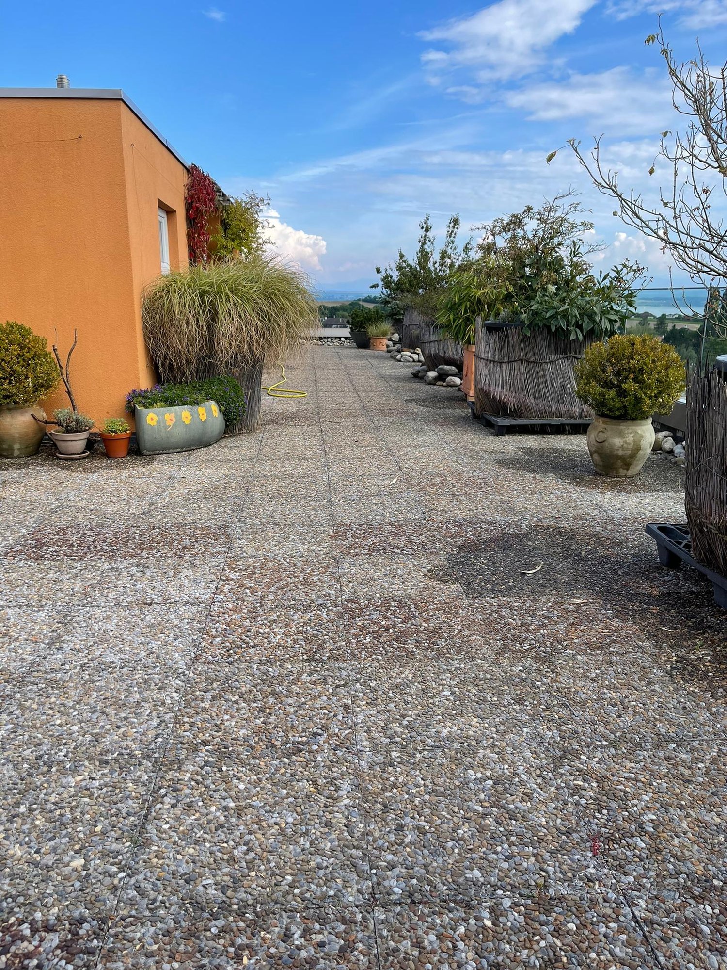 a graveled area with a building to the left, many potted plants, a distant view of trees, mountains, and sky