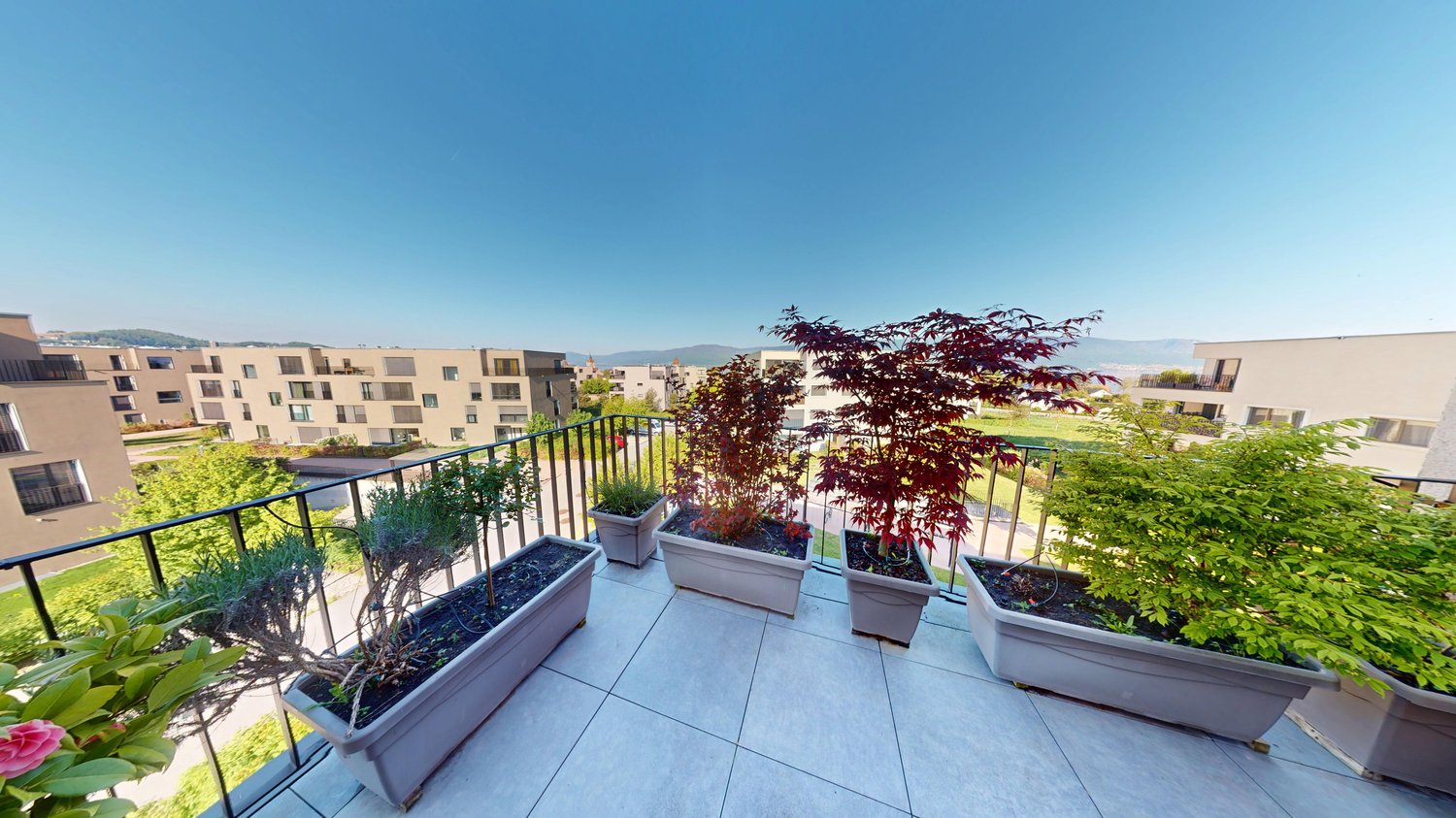 Spacious balcony with potted plants, trees, and a view of the surrounding buildings and landscape
