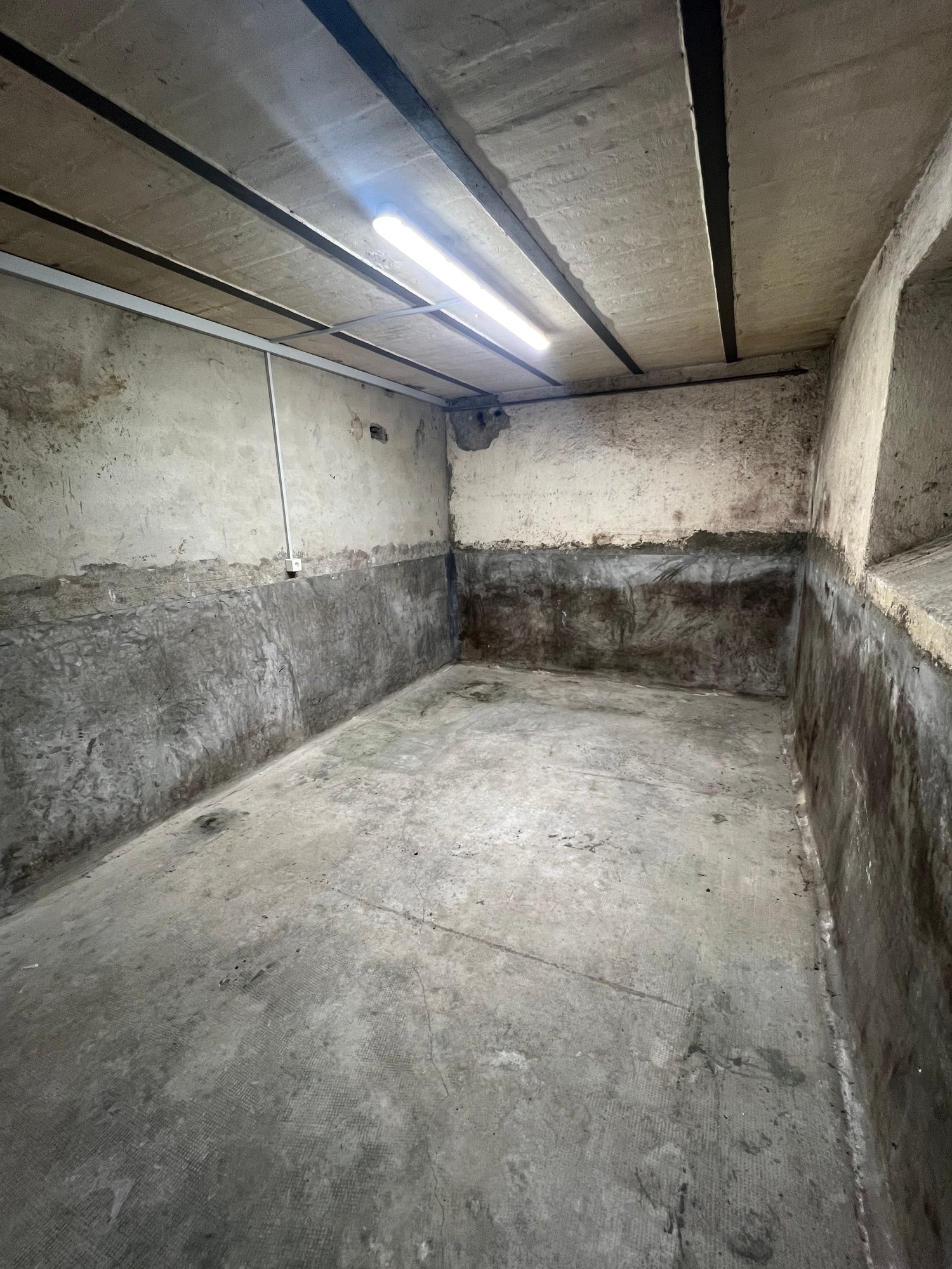 empty garage with concrete floor and walls, ceiling with fluorescent light