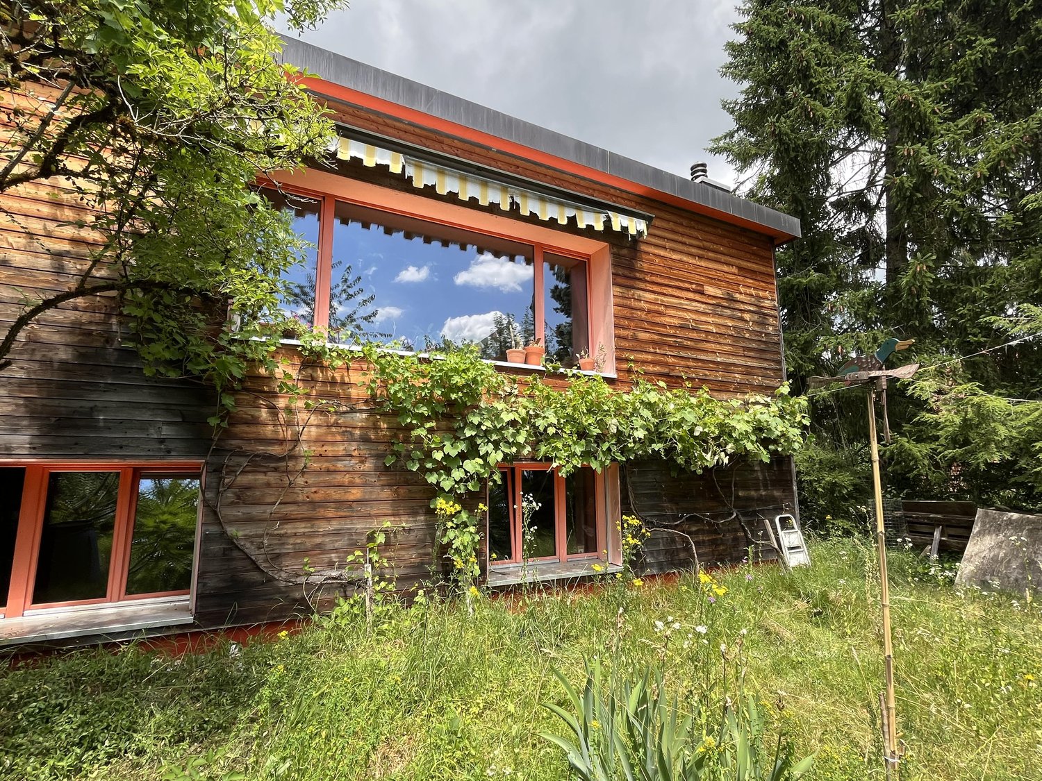 Two-story wooden cabin-style house with large windows, surrounded by lush greenery and trees