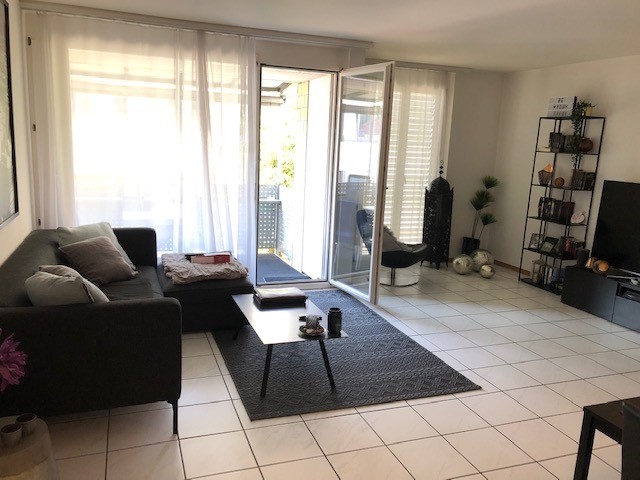 living room with grey sofa, black coffee table, black rug, glass doors with balcony, shelf with plants, television