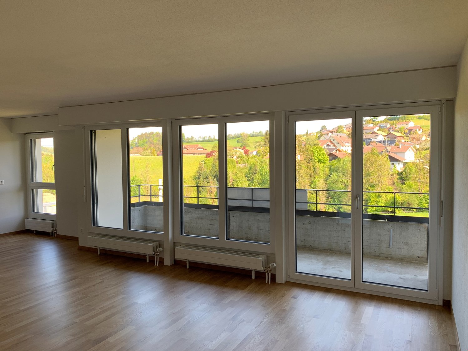 Open space living room, large windows, balcony with railings, wooden floor, heaters, view to landscape