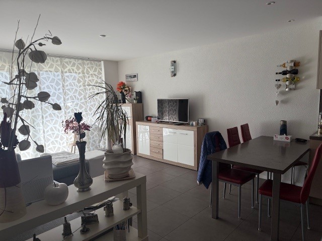 modern interior, white walls, tile floor, dining table with red chairs, large windows, living room sofa, TV, decorations, plants