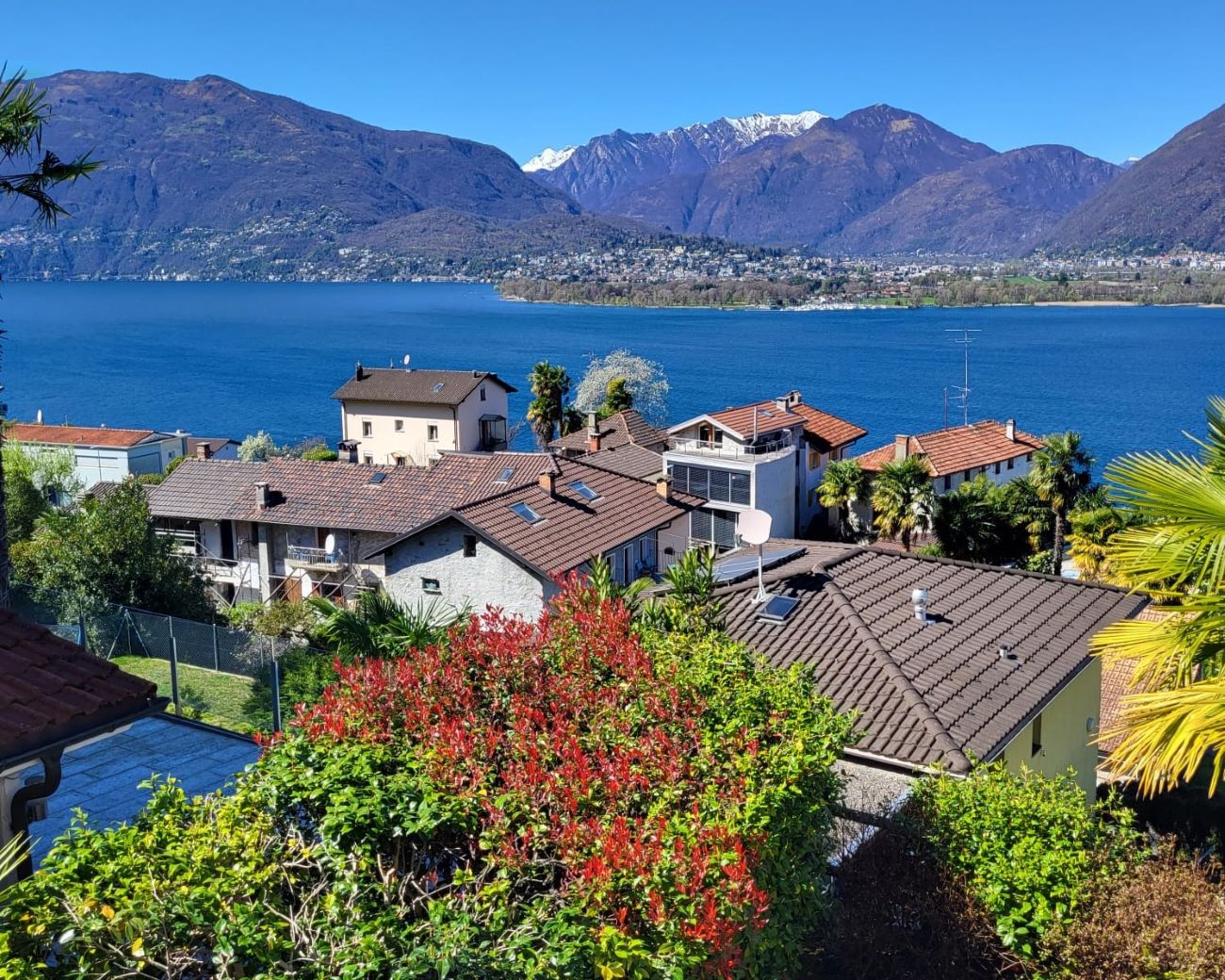Scenic view of a lakeside town with colorful houses, palm trees, and mountains in the background. The houses have red tile roofs and are surrounded by lush greenery.