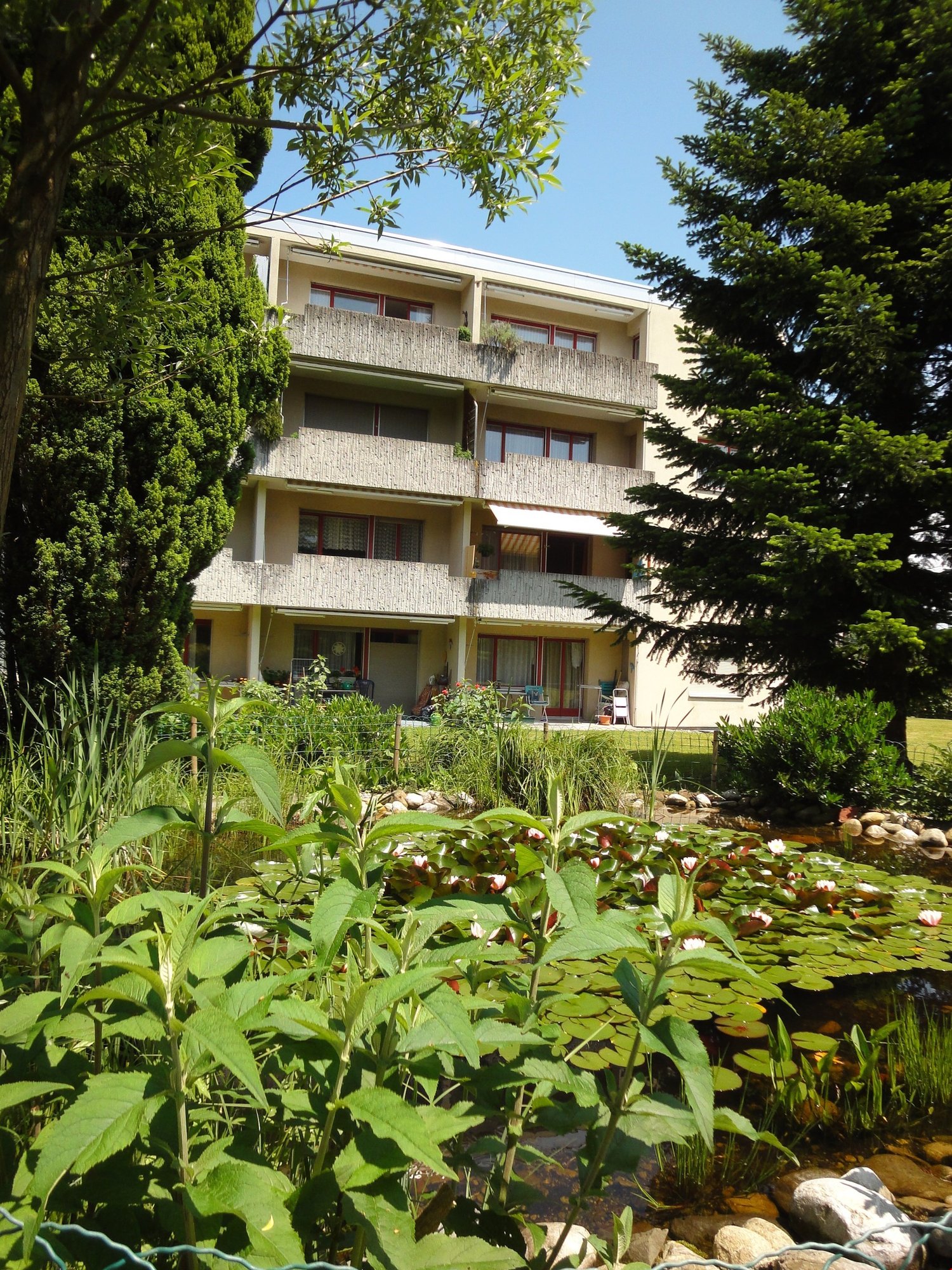 4-story apartment building with balconies, surrounded by lush greenery and a pond with water plants